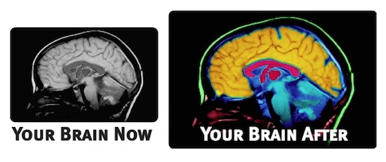 Quick Hit: Your Brain & Your Money...