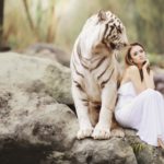 Thinking In Front of a Tiger
