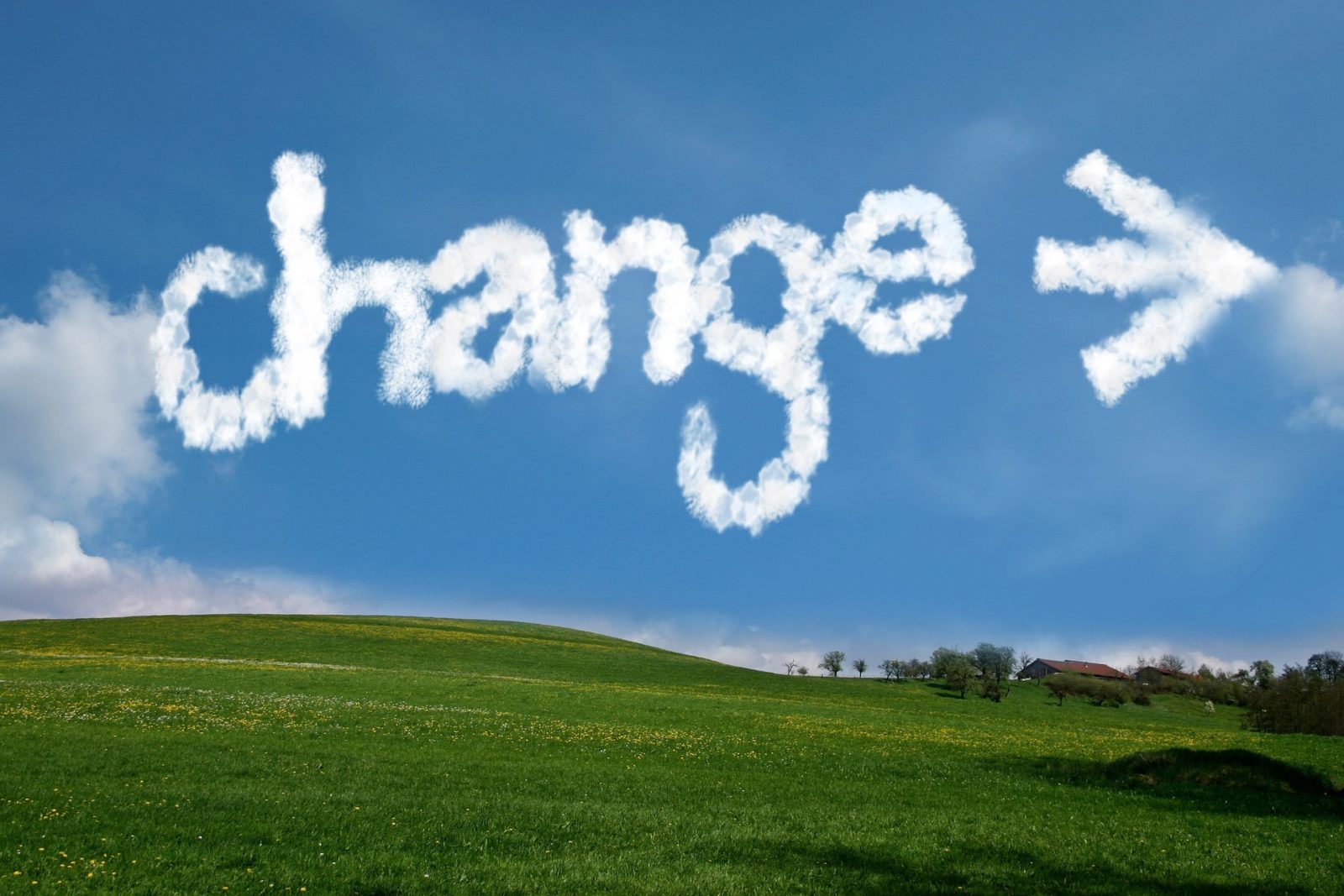 Change Management Is A Myth TQ Intentional Excellence