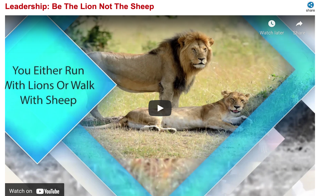 Run With Lions or Walk With Sheep