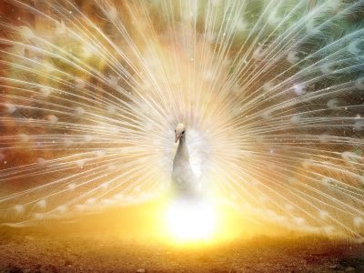 Leveraging TQ and AI for Small Business Success