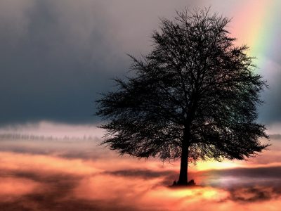 Vision, Values, Mission: True Alignment